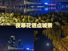 -天鹅湖体育公园