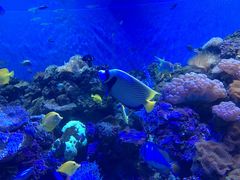 -成都浩海立方海洋公园