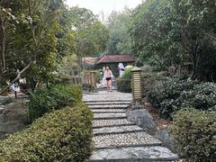 -金孔雀温泉旅游度假村