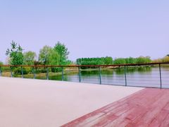 -东郊湿地公园