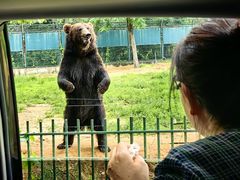-秦皇岛野生动物园