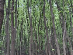 -同里国家湿地公园
