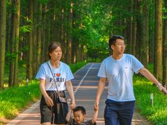 -黄海国家森林公园