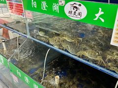 -阳澄湖大闸蟹·琼灵阁牌品牌连锁(吴中总店)