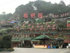 -枇杷园食为鲜火锅(南山店)