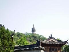 -焦山风景区