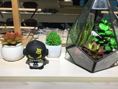 -Trend1881视光·蔡司视觉(领展广场店)