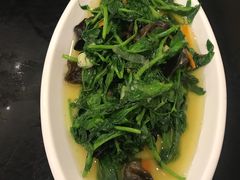 酸辣折耳根-鱼之家小四川水煮鱼