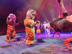 -珠海横琴长隆《卡卡虎奇遇记》