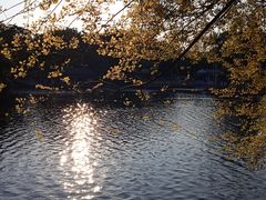 -荔湾湖公园