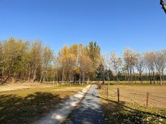 -汉长安城未央宫国家考古遗址公园