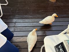 -火福·天湖阁大闸蟹博物馆主题餐厅(浅水湾店)
