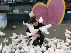 -烟台海昌鲸鲨海洋公园