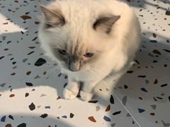 -FULL MOON满月咖啡