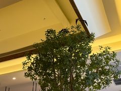 -春家·非遗手工小吃(徐汇万科广场店)