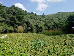 -天目湖山水园