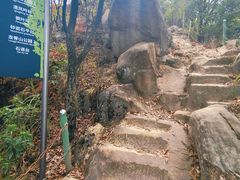 -南山植物园