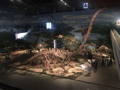 -自贡恐龙博物馆