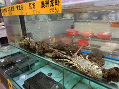 -寻味顺德·南记酒家·传统顺德菜·鱼生(广源路店)
