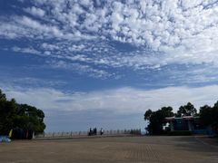 -广东惠东海龟国家级自然保护区