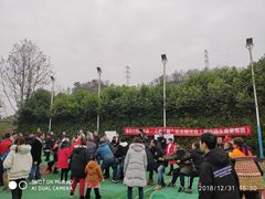 -重庆长寿碧桂园凤悦凤凰酒店