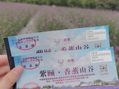 -紫颐香薰山谷景区