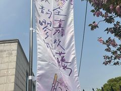 -嘉定紫藤园