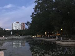 -广西大学(大学东路校区)