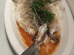 -客家汇·客家传承菜(水库店)