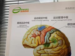 -金博智慧注意力感统训练(回龙观校区)