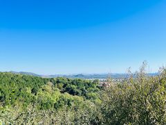 -北京西山国家森林公园