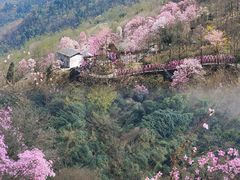 -九皇山景区