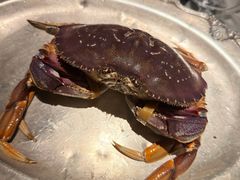 珍宝蟹意面-壳里西餐厅Coquille Seafood Bistro(蒙自路店)