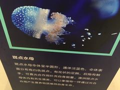 -万达影城(长沙婚庆公园中国巨幕店)