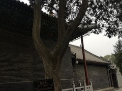 -关林