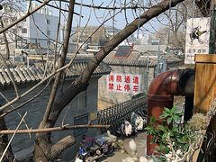 -Santoor 萨都里印度餐厅(北锣鼓巷店)