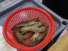 -濠轩阁特色生蚝火锅(水湾路店)