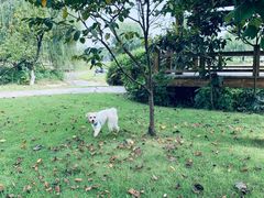 -国际非物质文化遗产博览园