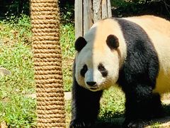 -大连森林动物园