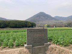 -八卦田遗址公园