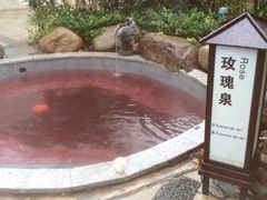 阳明温泉山庄-余姚阳明温泉山庄