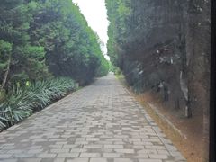 -秦始皇帝陵博物院-丽山园