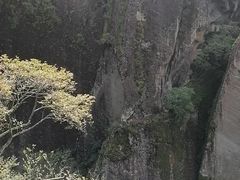 -武夷山风景名胜区-玉女峰