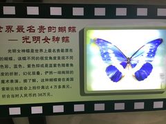 -上海昆虫博物馆