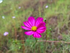 -大渡口区义渡公园