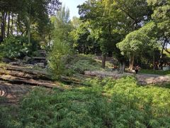 -晓港公园