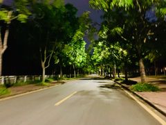 -深圳大学城（南区）体育中心-游泳馆