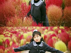 -天津东丽湖风景区