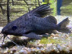 -常州海昌海洋探索馆