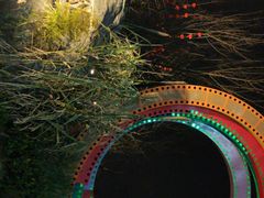 -府河摄影公园